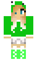c5f23c5a4dbb1e minecraft skin