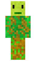 Soothingkiwi minecraft skin