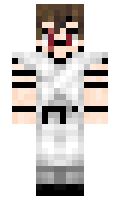 c612fb40dd61ab minecraft skin