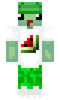 c6197125ba7e39 minecraft skin