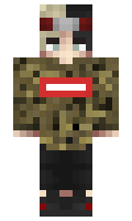 saly minecraft skin