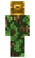 ChivalricCode minecraft skin