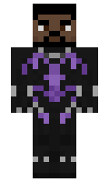 dking minecraft skin