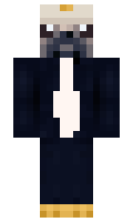 Poge minecraft skin