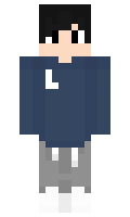 M310N minecraft skin