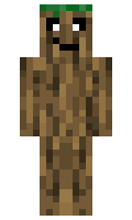 c65308d547f4eb minecraft skin