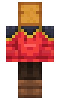 c658c599d6a4a2 minecraft skin