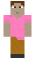 c6599cbac06fd8 minecraft skin