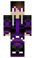 mini500 minecraft skin