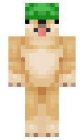 c6a286964f1d14 minecraft skin