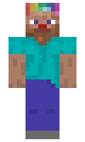 RainbowAirlines minecraft skin