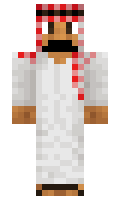 EDA123 minecraft skin