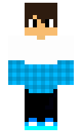 c73c42d4719481 minecraft skin