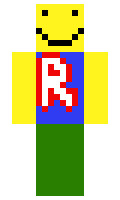 salsa minecraft skin