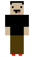 houster minecraft skin