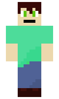 c78f397ff901b4 minecraft skin