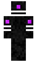 parsa2 minecraft skin