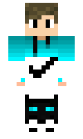 c7a28a9284f989 minecraft skin