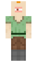 FoxInnovation minecraft skin