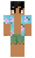 humyhumy minecraft skin