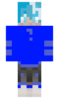 c7d239d48f1bd1 minecraft skin