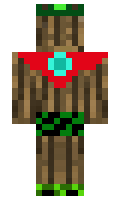 DistantIgnore minecraft skin