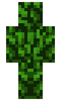 Eclipse12879 minecraft skin