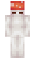 koteek minecraft skin