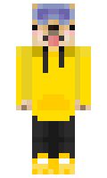 QSanity minecraft skin