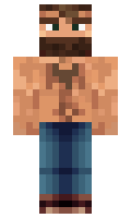 c814a3a84913de minecraft skin