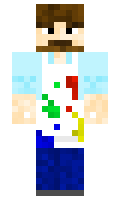 mottie minecraft skin