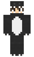 c84f0e7017983f minecraft skin