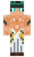 c868f72b5496dd minecraft skin