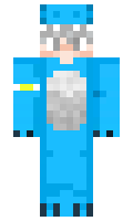 wwishh minecraft skin