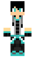 offin minecraft skin