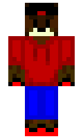 leoo minecraft skin