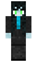 c8d678484c358d minecraft skin