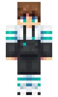 c8dbd92551fe3e minecraft skin