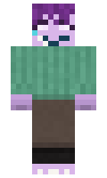 c8e61d7e7166af minecraft skin
