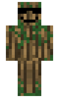 c8e6450d56046e minecraft skin