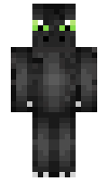 NightFurySS minecraft skin