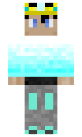 LegoNick1208 minecraft skin