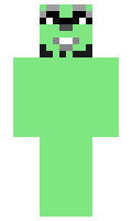 nolidev minecraft skin