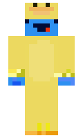 Aadujaerik minecraft skin