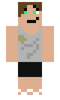 eerw1n minecraft skin