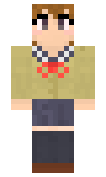 Potehi minecraft skin