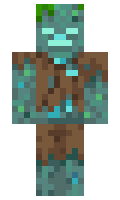 c96a37e6ba3f8f minecraft skin