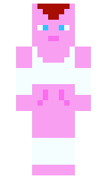 mininl minecraft skin