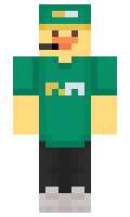 c98e0fbde888bf minecraft skin