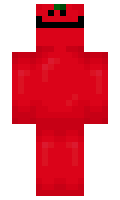 Xpen minecraft skin